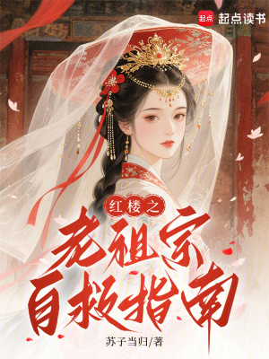 红楼之老祖宗在线捶人