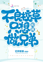 不良校草别惹我全文免费阅读