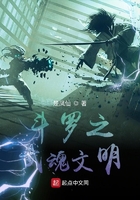 斗罗之武魂文明小说