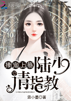 撩爱上瘾陆上你个妻控免费阅读