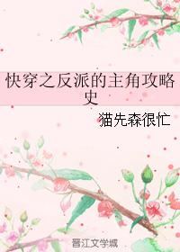 书名:快穿之反派攻略