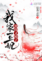 我家王妃出逃了全文免费阅读