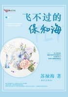 飞不过海中央是什么歌