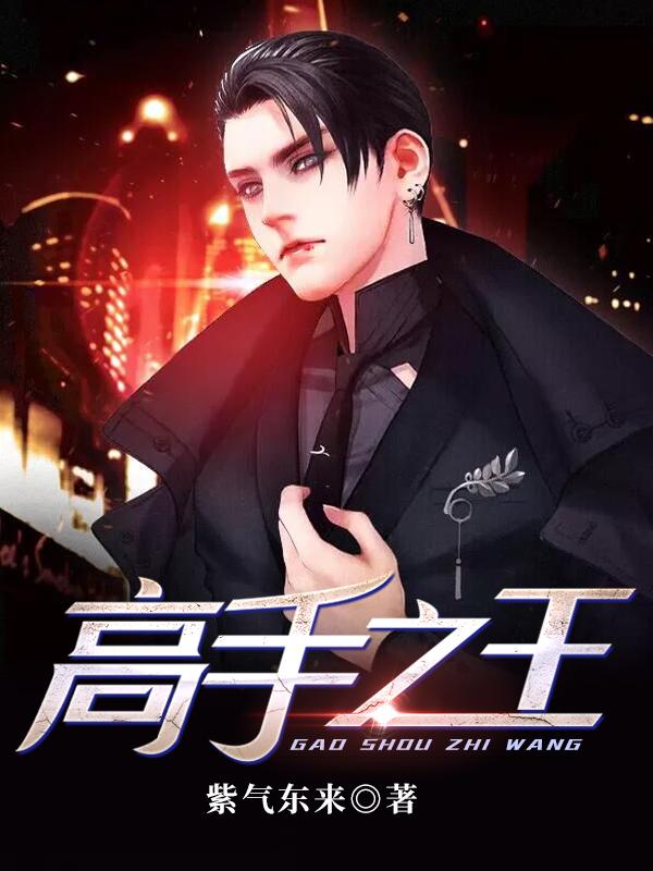 高手之王 小说