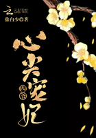 四爷心尖宠妃免费阅读