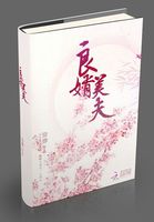 良婿美夫未删减